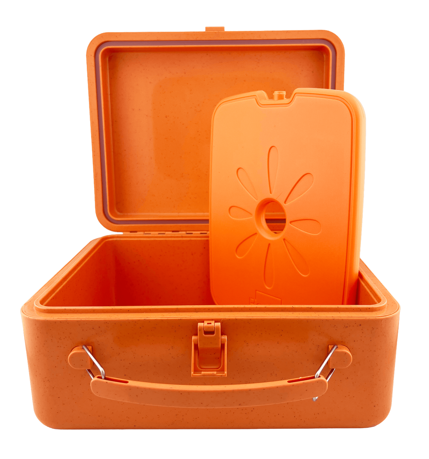 Beaniis Gallery Lunch Box