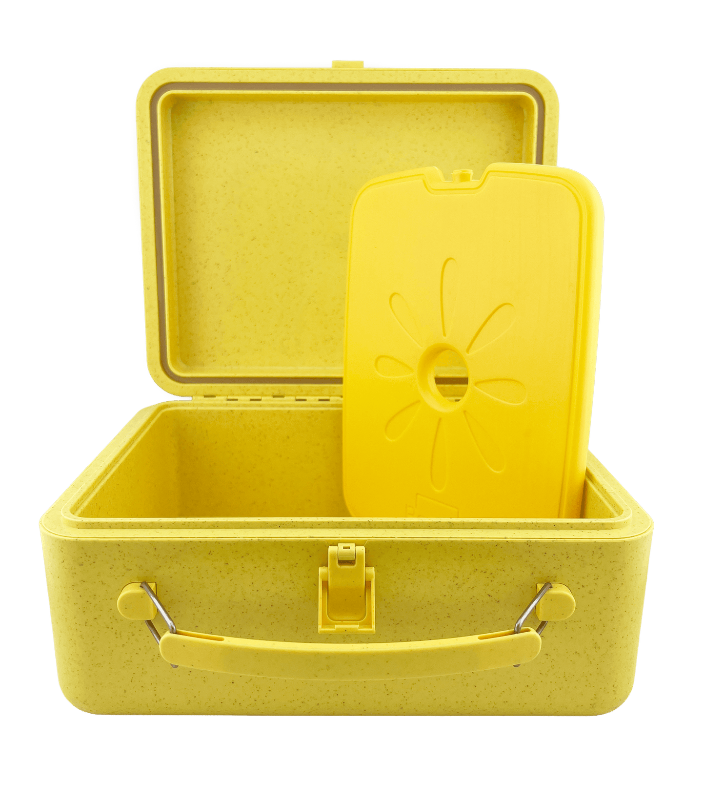 Beaniis Gallery Lunch Box