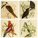 Art Sheet Packs - Birds of Australia (v2)
