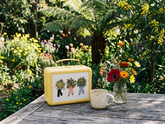 Paper Hands Artist Collection - Gallery Box Bundle