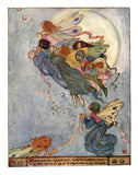 Art Sheet Packs - Florence Harrison (v2)