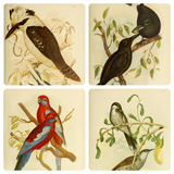 Art Sheet Packs - Birds of Australia (v2)