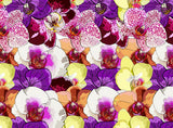 Miss Apple Designs Collection - Art Sheet Pack
